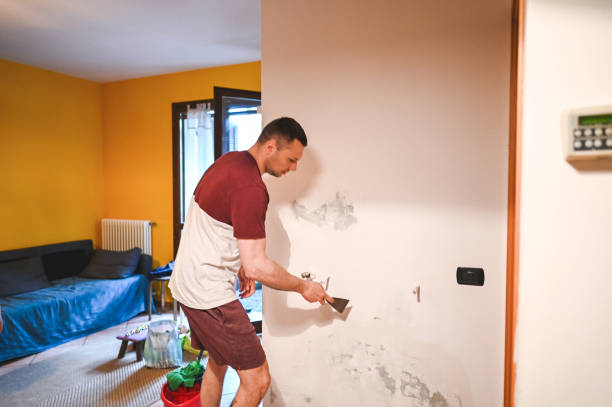 Best DIY Mold Remediation Support Services in Warren, MN